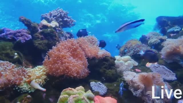 Релакс - музыка // Манящий океан. смотреть онлайн