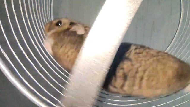 ОДИН С КОЛЕСОМ............................... смотреть онлайн