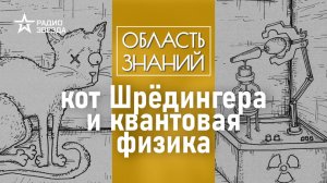 Что на самом деле означает эксперимент Шрёдингера? Лекция физика Дмитрия Чермошенцева