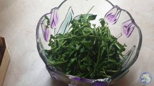 Салат из рукколы со свеклой и сыром Фета, традиционный Греческий рецепт