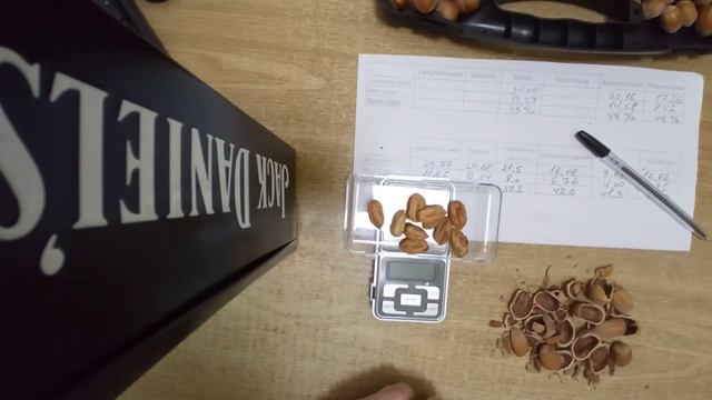 Фундук. Вебба та Трапезунд. Вихід ядра (огляд). смотреть онлайн