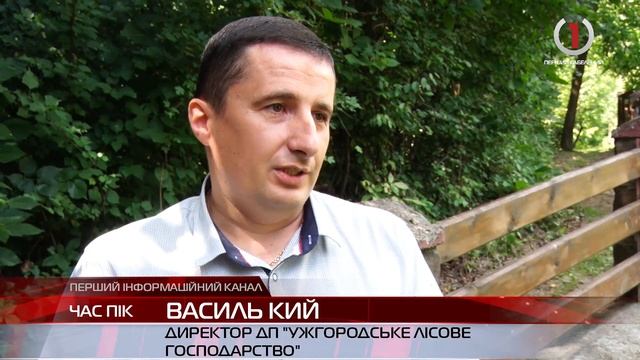 Готуй сани влітку: закарпатські лісівники вирощують новорічні ялинки смотреть онлайн
