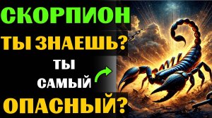 🔴♏25 причин почему СКОРПИОН - самый опасный знак зодиака. Ты согласен? #скорпион