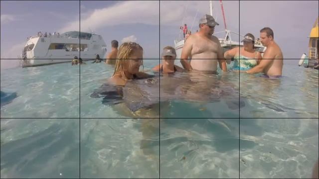 Stingray City Sandbar Grand Cayman смотреть онлайн