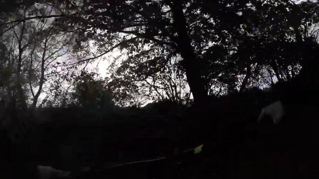 My Bike - Cube Aim Pro 2019 смотреть онлайн