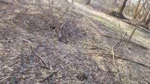 Охота в ЛЕСУ на чернозобого дрозда и голубя с пневматикой (воздушкой) Hatsan 90.