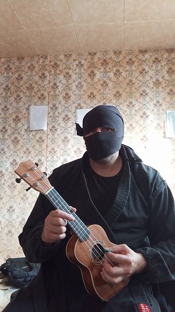 Very Nordic Ninja: Hedgehog (26.03.2025) Крайне Северный Ниндзя: Ёж #VeryNordicNinjaUkuleleRiffArts