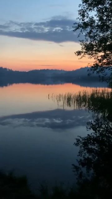 Как упоительны в России вечера #сад #дача #shorts #garden #спб смотреть онлайн