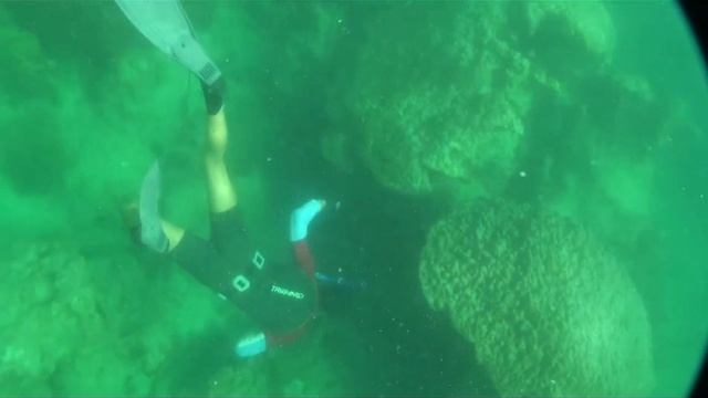 Spearfishing in Thailand смотреть онлайн