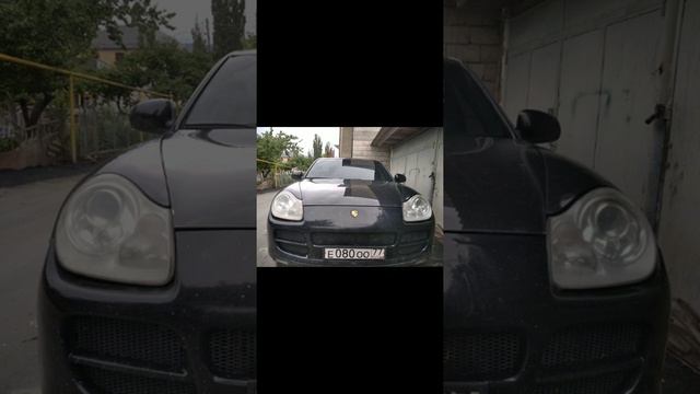 TENCA лев смотреть онлайн