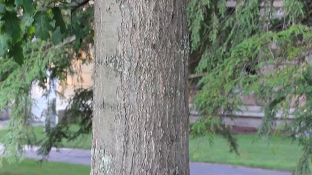 Future uses смотреть онлайн