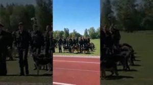 Песня 470-го учебно-методического центра служебного собаководства министерства обороны РФ