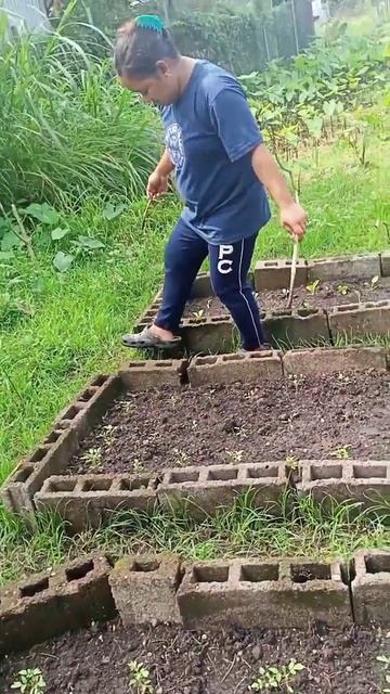 Removing snail in my garden смотреть онлайн