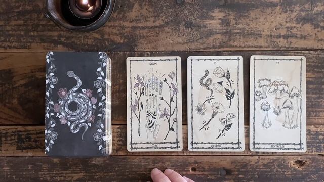 Tarot Shorts: December 2020 Mini Reading смотреть онлайн