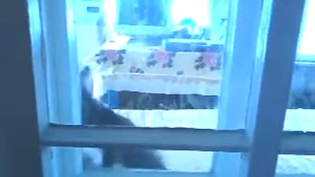 семен просится домой смотреть онлайн