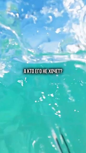 Отправь тому с кем хочешь отправиться на море #путешествия #море #travel