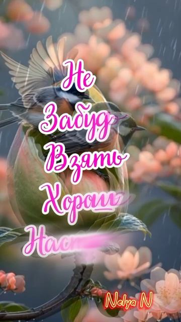 Доброе Утро!
ВидеоОткрытка смотреть онлайн