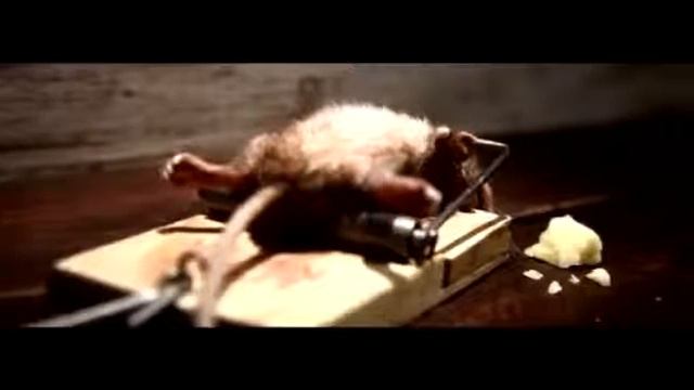Клёвая мышка !... смотреть онлайн