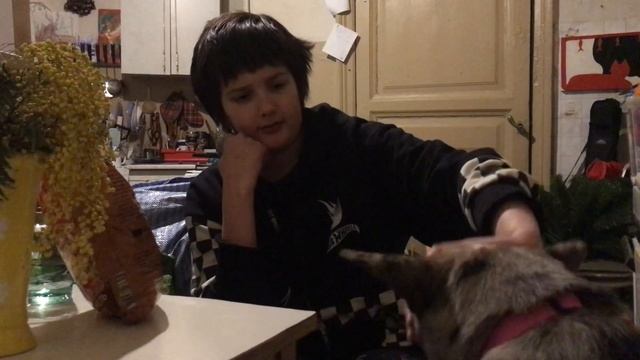 Биби Машкурадзе про черепаший суп смотреть онлайн