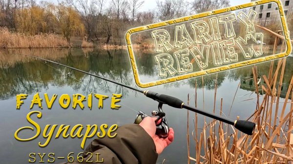 Ретро обзор - Favorite Synapse SYS-662L