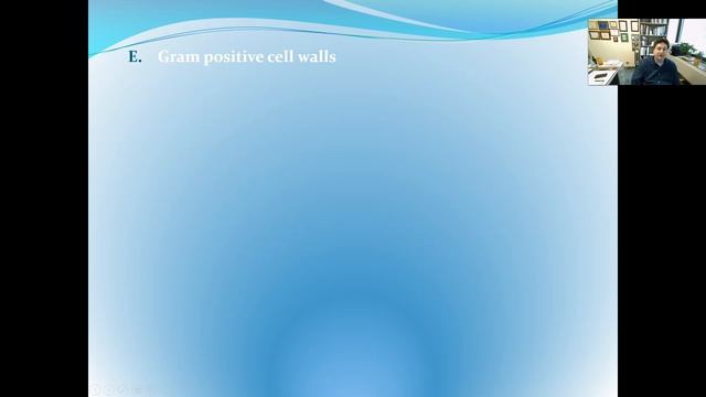 Bacteria & Archaea смотреть онлайн