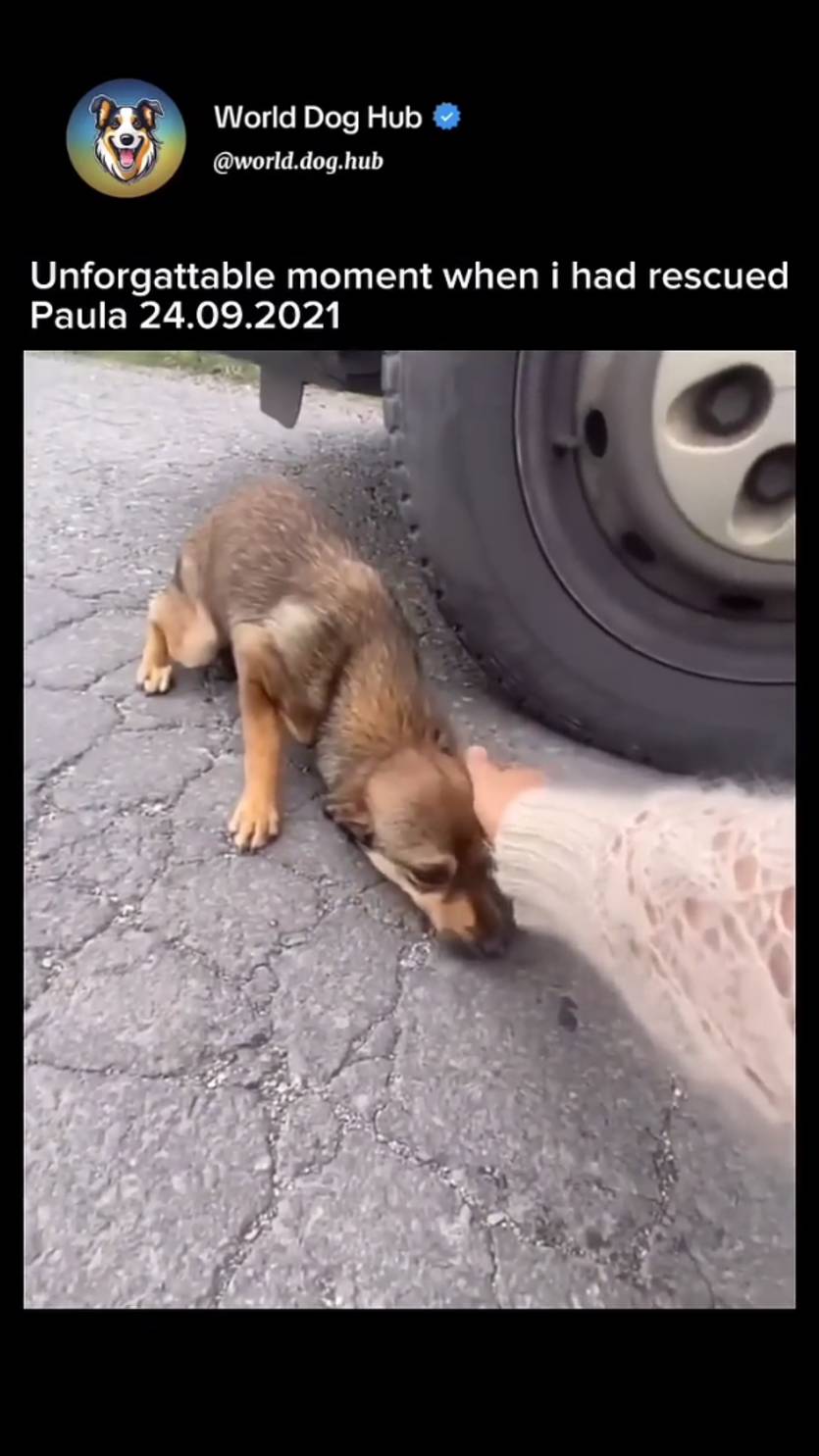 Я смотрел и плакал. Мир не безнадежен ! смотреть онлайн
