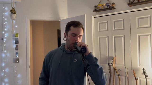 Laid To Rest - Shadow of Intent/Lamb of God (one take vocal cover) смотреть онлайн