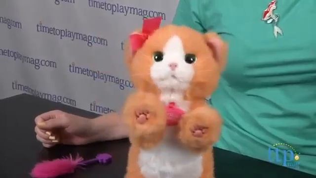 Интерактивно коте Дейзи в Toy Town смотреть онлайн