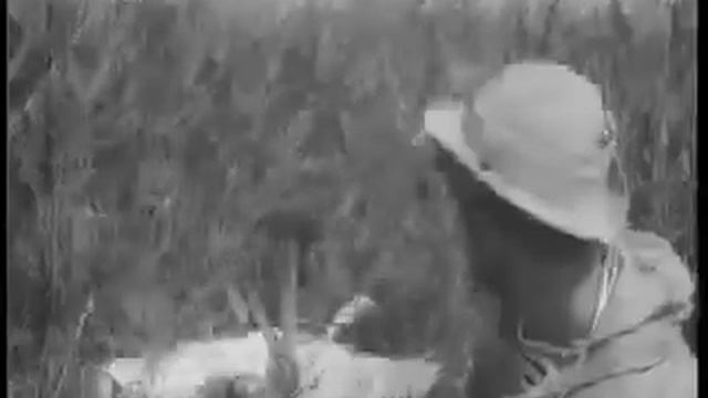 Киножурнал ПИОНЕРИЯ 1978 г № 9 смотреть онлайн