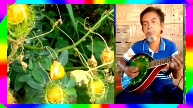 #TECHSUPPORTROHINGYASONG Best Rohingya Gana Song for Tarana Hear Abutayoub like share 20/11/2020 смотреть онлайн