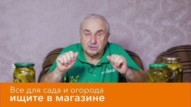 СОБИРАЮ 500 КГ ОГУРЦОВ ЗА СЕЗОН ПРИ ТАКОМ СПОСОБЕ ПОСЕВА! Агроном рассказал, что любят огурцы смотреть онлайн
