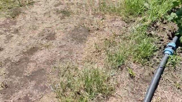 Гербіциди на малині, результат смотреть онлайн