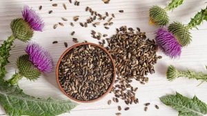 Семена расторопши – природный эликсир здоровья