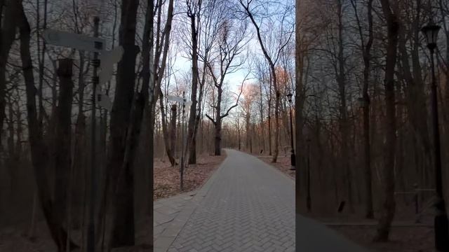 Останкинский парк пение птиц смотреть онлайн