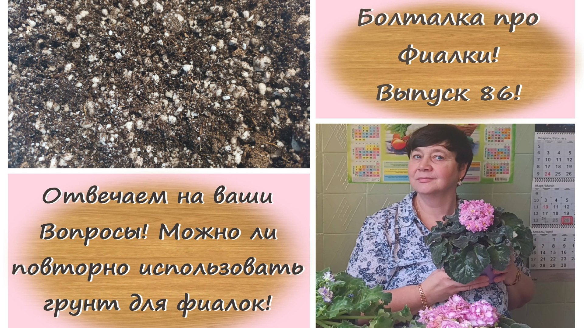 Болталка про Фиалки! Выпуск 86! Можно ли повторно использовать грунт для фиалок?!