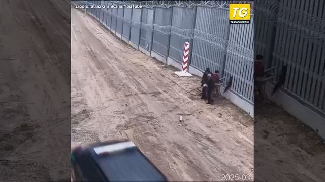 Пшеки бдят, чтобы ни один бобр курва не пролез на их территорию со стороны Белоруссии смотреть онлайн