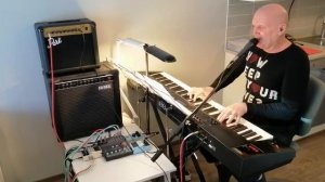 «Двадцать лет спустя» (Cover)