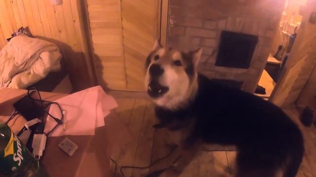 Мама, я танцую(Джек певец) смотреть онлайн