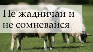 Принеси свою жертву - Аллах поможет!