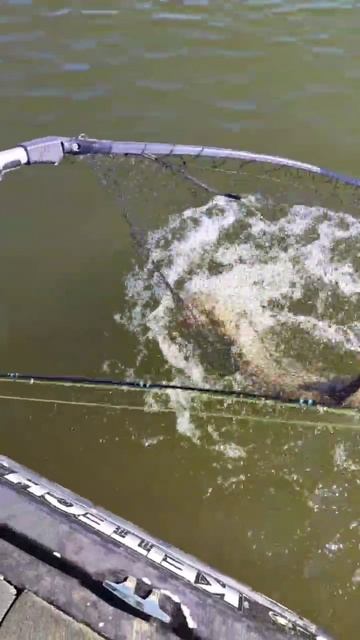 Охота на трофейную щуку 🎣 #fishing#щука