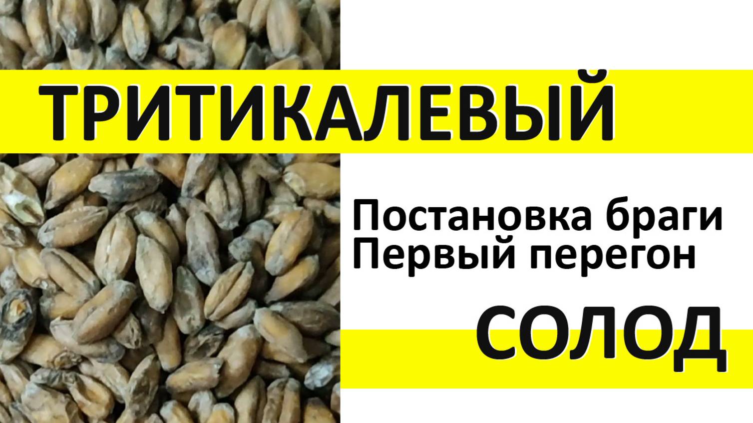 🔥 Тритикалевый солод. Брага. Первый перегон.🔥