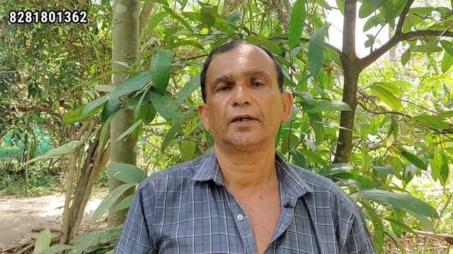 കടുത്ത വാത വേദനകള്ക്ക് ശമനം നൽകുന്ന കരിങ്ങോട്ട | Karinjotta plant | Niepa Bark Tree | കരിഞ്ഞോട്ട смотреть онлайн