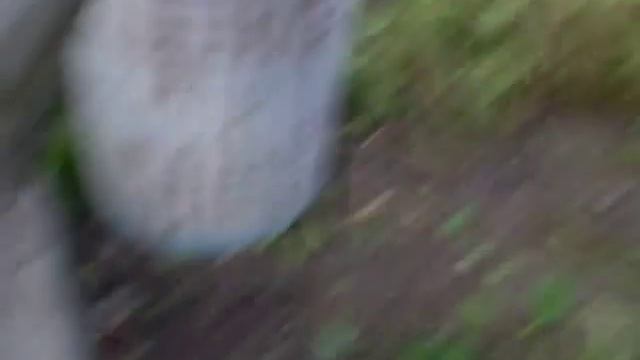 без звука но смешно смотреть онлайн
