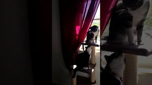 Место под солнцем в Майами смотреть онлайн