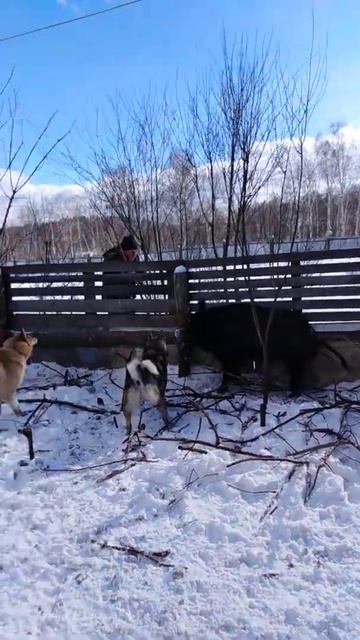 7 марта 2021 г.