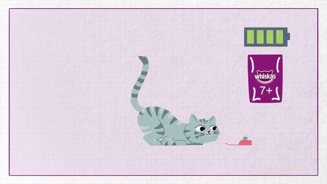 How can I tell when my cat is getting old? - Whiskas K.I.T. смотреть онлайн
