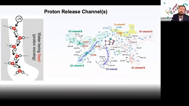 Photosynthesis: How Plants Build the Air we Breathe - Atom by Atom by Franklin Fuller смотреть онлайн