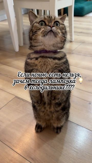 Философские вопросы 😌