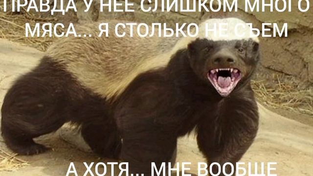 "МЕДОЕД В КАМЕННОУГОЛЬНОМ ПЕРИОДЕ" (ПРИКОЛЫ С МЕДОЕДОМ) смотреть онлайн