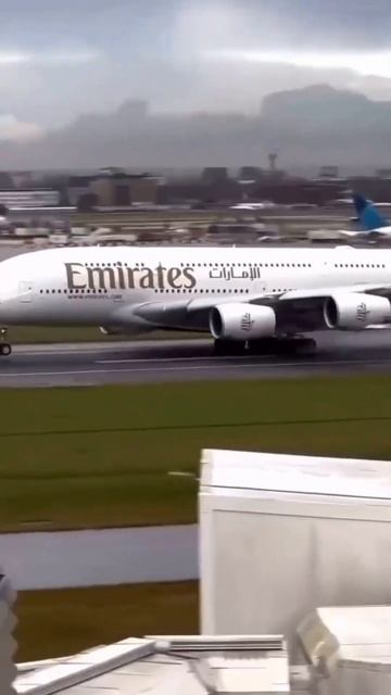 Иногда для счастья нужно просто забронировать тур #путешествия #море